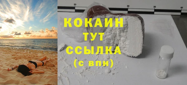 тгк Алзамай