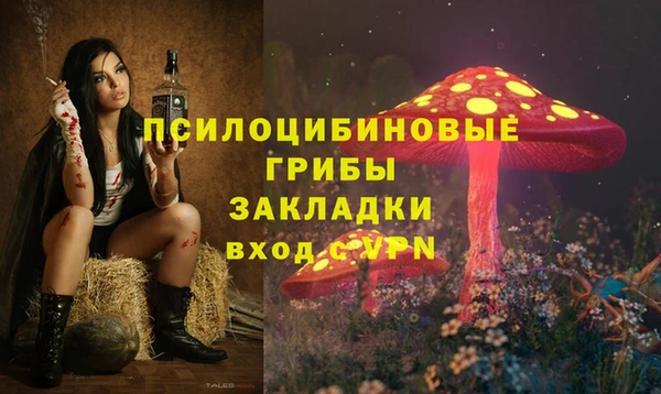 тгк Алексин